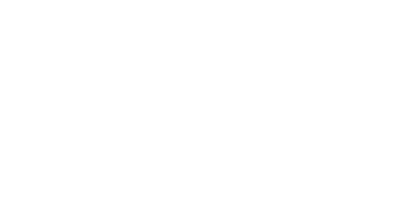 WAL footwear technology